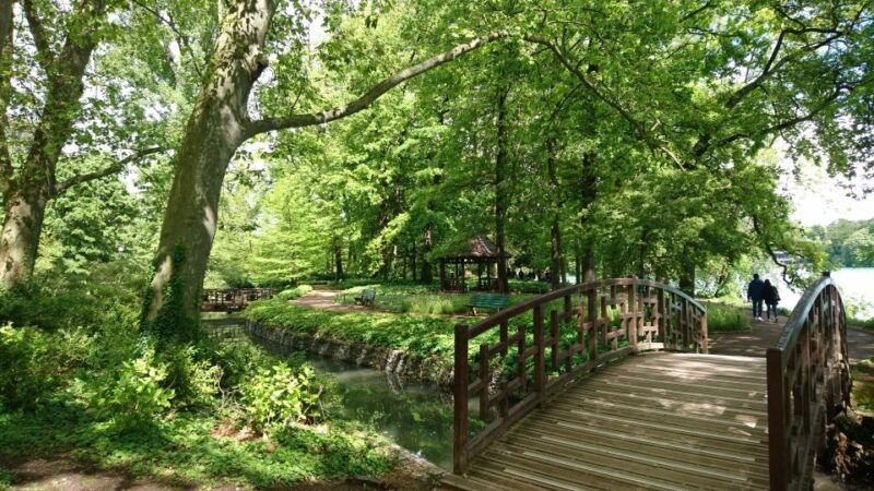 lyon-parc-de-la-tete-dor-urban-park-walking-tour