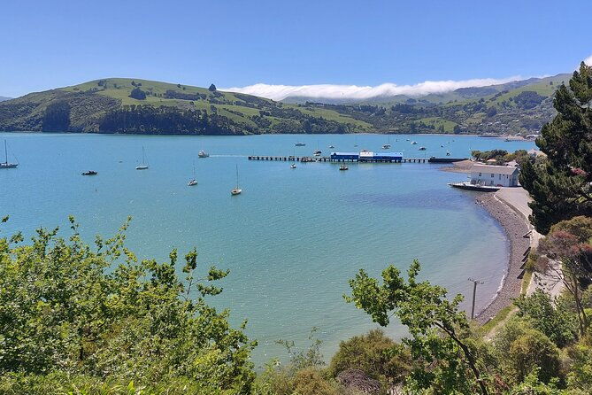 Lyttelton Shore Excursion: Twin Harbour Tour (Lyttelton & Akaroa) - FAQ