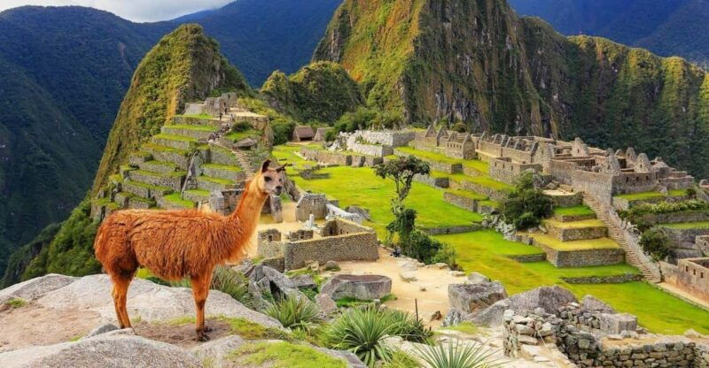 machu-picchu-official-entry-ticket-to-machu-picchu