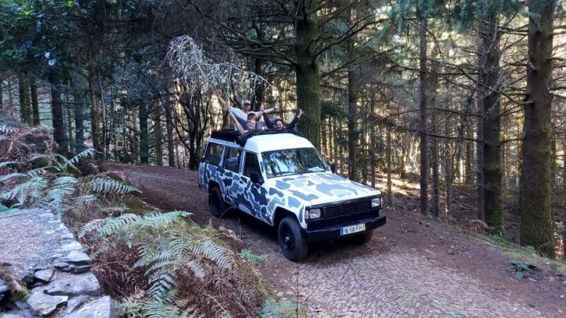 madeira-4-hours-classic-jeep-tour-in-central-madeira