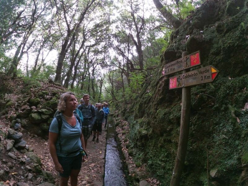madeira-island-caldeirao-verde-levada-walk