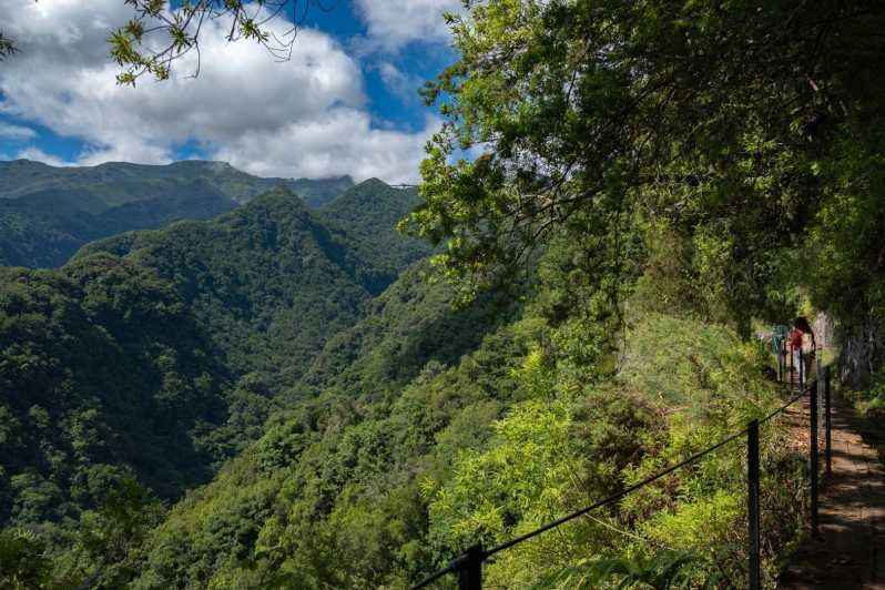 madeira-island-walk-hidden-corners-kings-levada