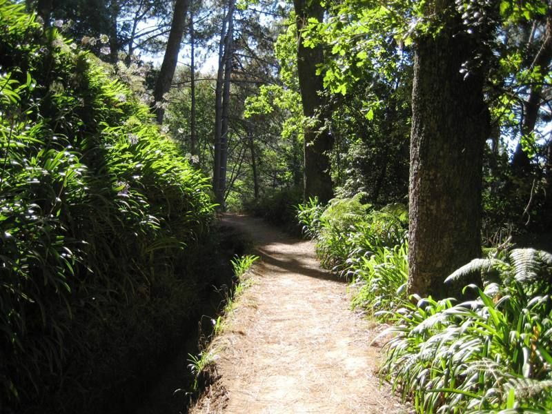 madeira-paradise-valley-levada-walk