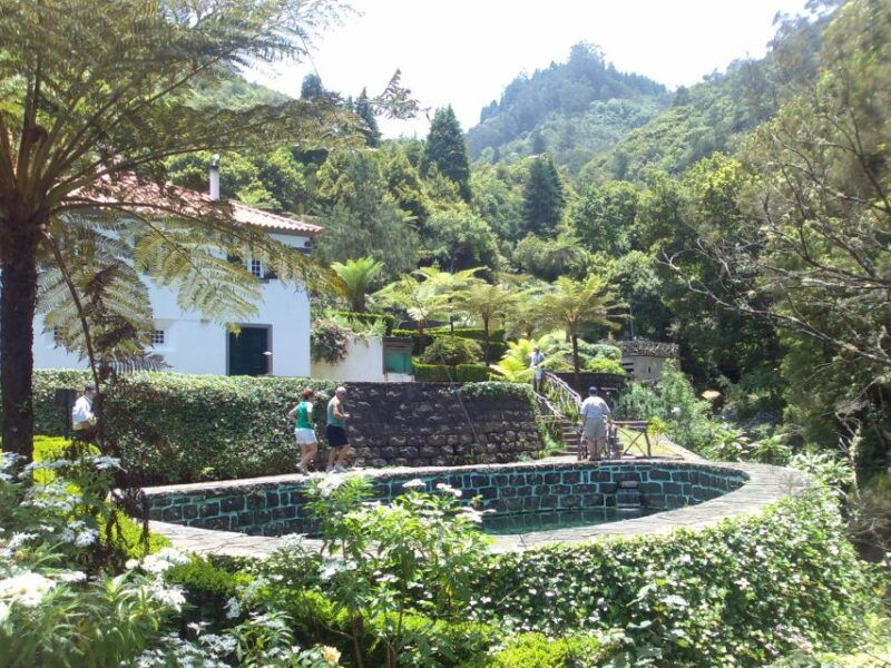 madeira-pico-do-arieiro-laurissilva-forest-east-tour