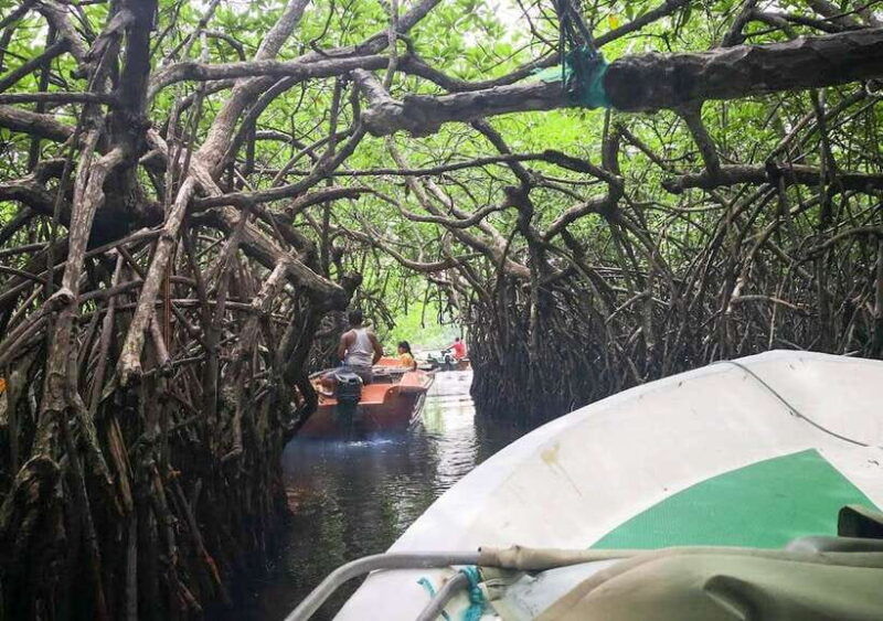 madu-river-boat-safari