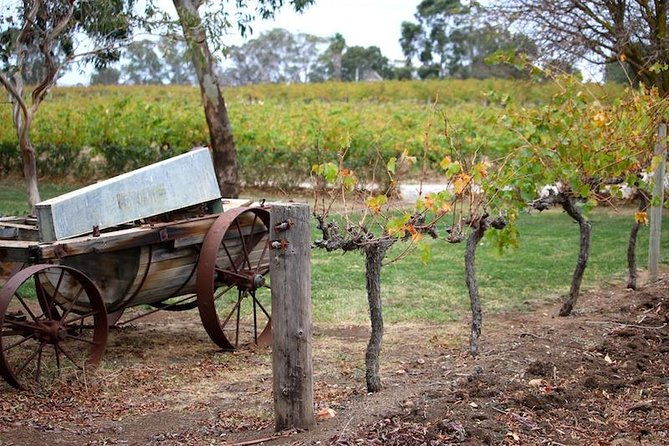 Maggie Beer Farm - Barossa Valley Regional Tour - The Value of the Tour  