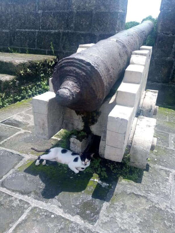 manila-intramuros-tour-dark