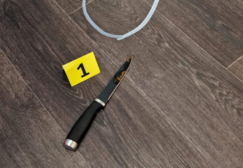 mannheim-guided-walking-tour-crime-scene-mannheim