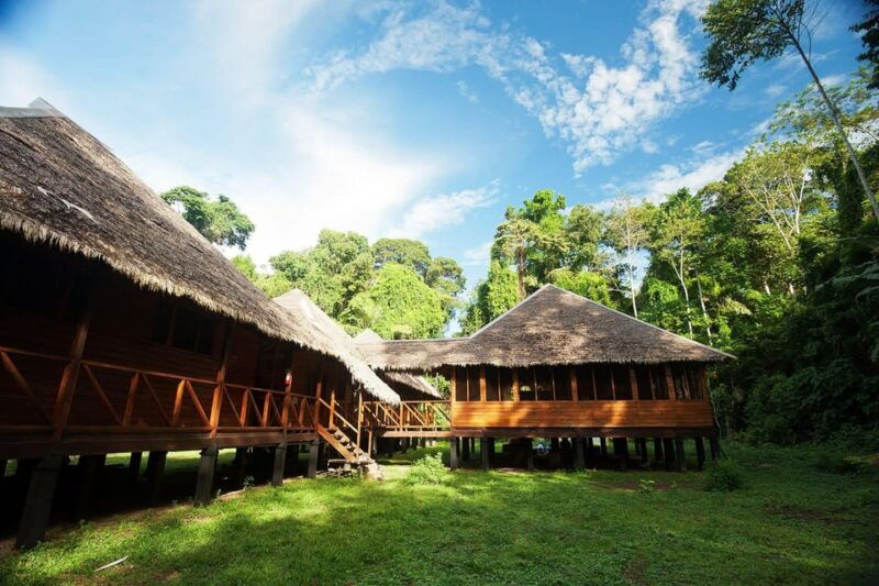 manu-jungle-tour-5-days