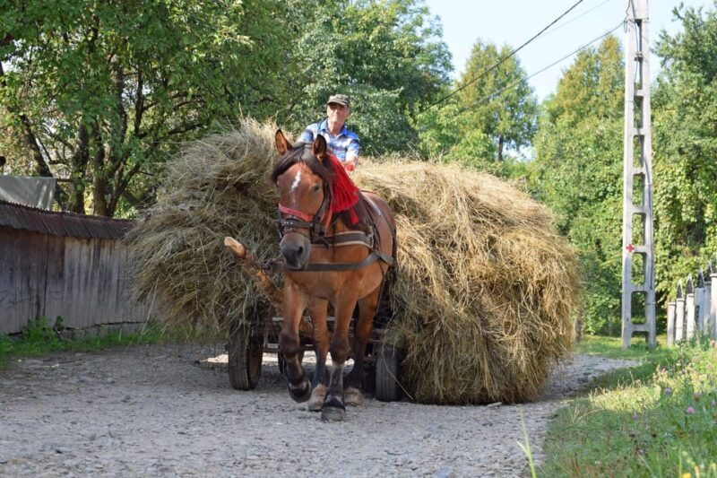 maramures-day-tour-from-cluj