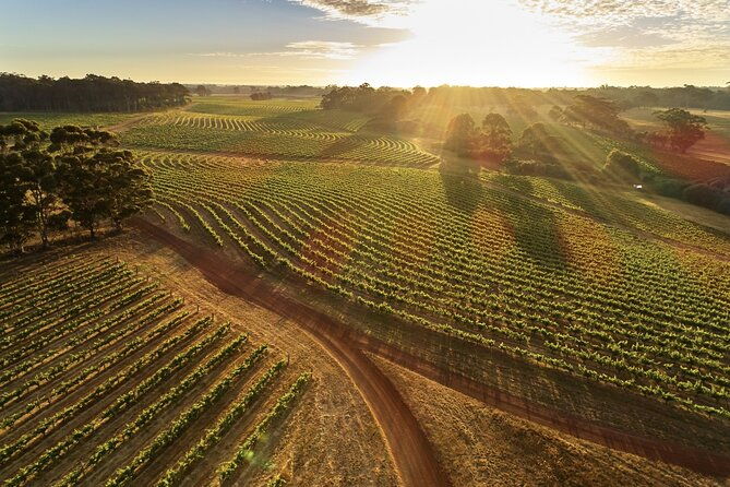 Margaret River Scenic Flight to Leeuwin Estate Winery From Perth - The Bottom Line