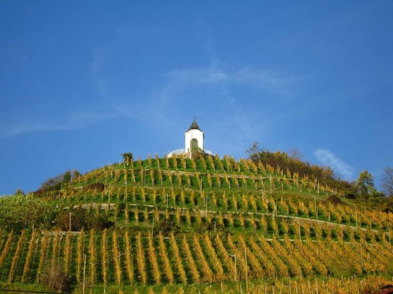 maribor-styria-tour-with-wine-tasting