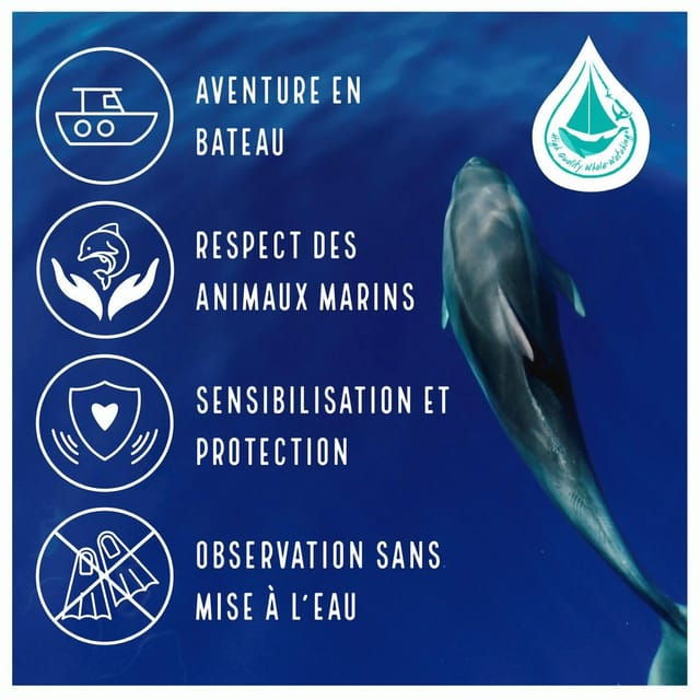 marina-baie-des-anges-boat-trip-to-the-pelagos-sanctuary