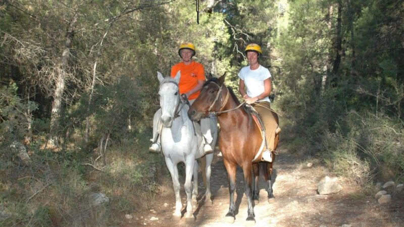 marmaris-horse-riding-experience-with-transfer
