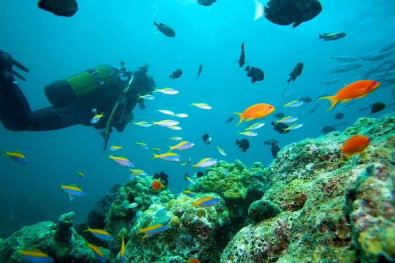 marmaris-scuba-diving-with-a-qualified-instructor