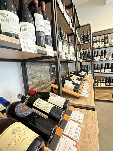marseille-tailored-wine-tasting-experience-in-top-wine-shop