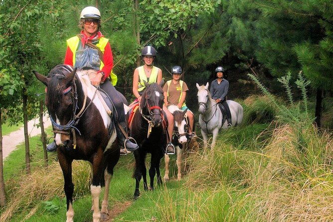 Matakana Art & Horse Riding Experience Private Tour From Auckland - Who Would Love This Experience?