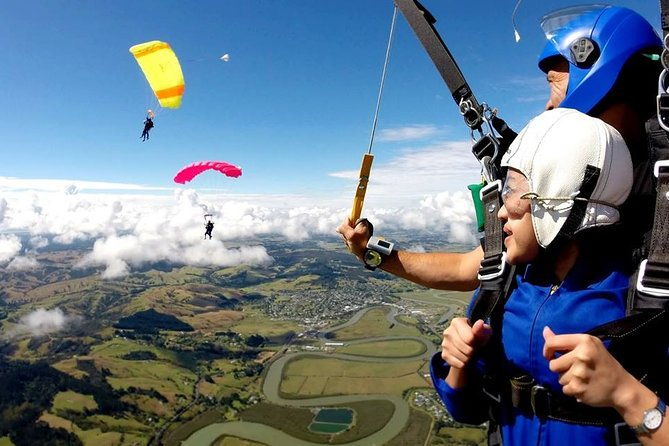 Matakana Art, Wine & Kiwi Discovery Experience - Private Tour - Who Is This Tour Best For?