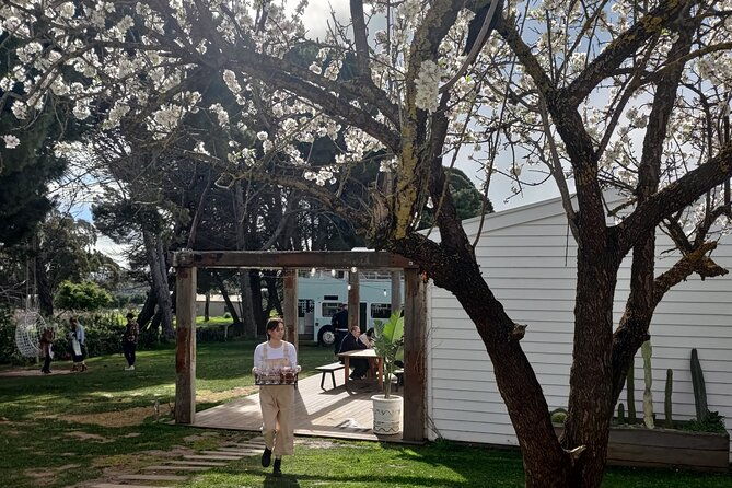 McLaren Vale Full Day Tour - Practical Tips for Making the Most of the Tour