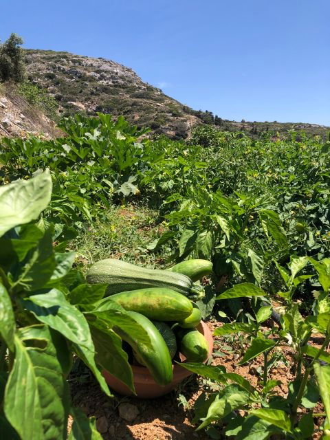 melanes-naxos-perivoli-farm-cooking-class-with-wood-fire