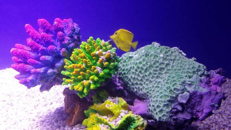 mexico-city-inbursa-aquarium-tour-with-transportation