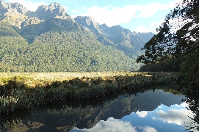 Milford Sound Discovery Tour - Pricing and Value