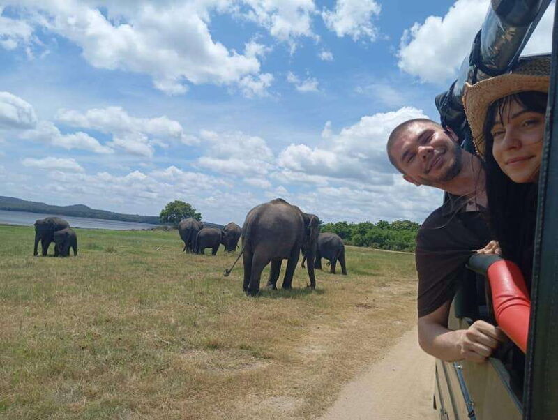 minneriya-half-day-morning-or-evening-jeep-safari