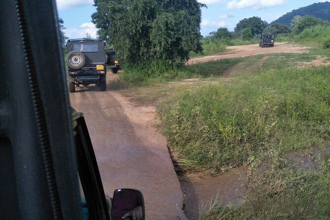 Minneriya / Kaudulla National Park Jeep Safari - Overview of the Itinerary