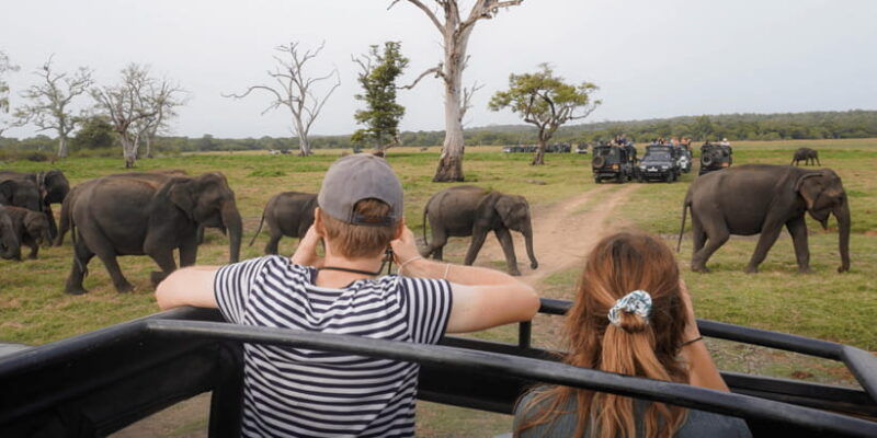 minneriya-national-park-half-day-sri-lanka-jeep-safari