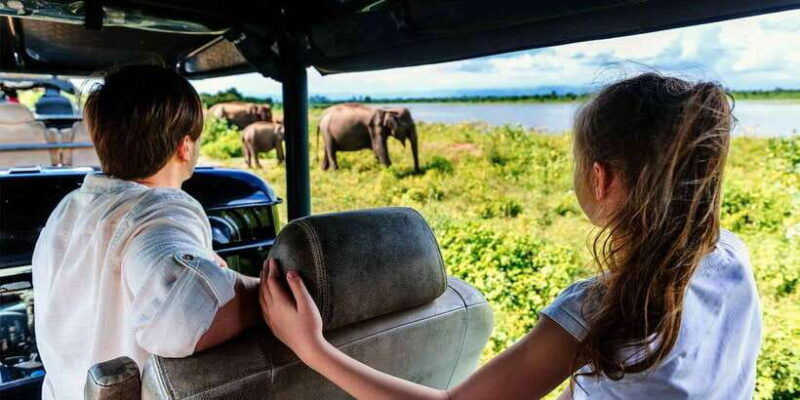minneriya-national-park-safari-in-a-4x4
