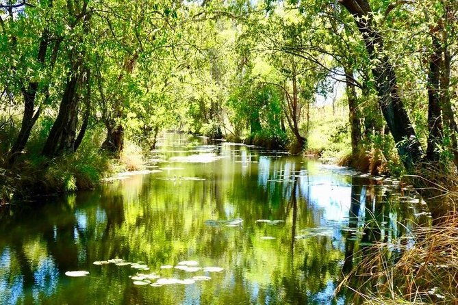Mitchell Falls Tour - Mitchell Falls, Horizontal Falls & Cygnet Bay - FAQ