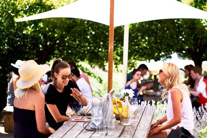 Montalto Vineyard: Mornington Peninsula Discovery Wine Tasting and Lunch - What We Think