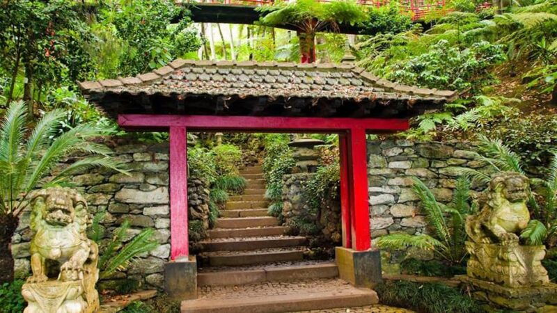 monte-tropical-gardens-old-town-tuk-tuk-tour