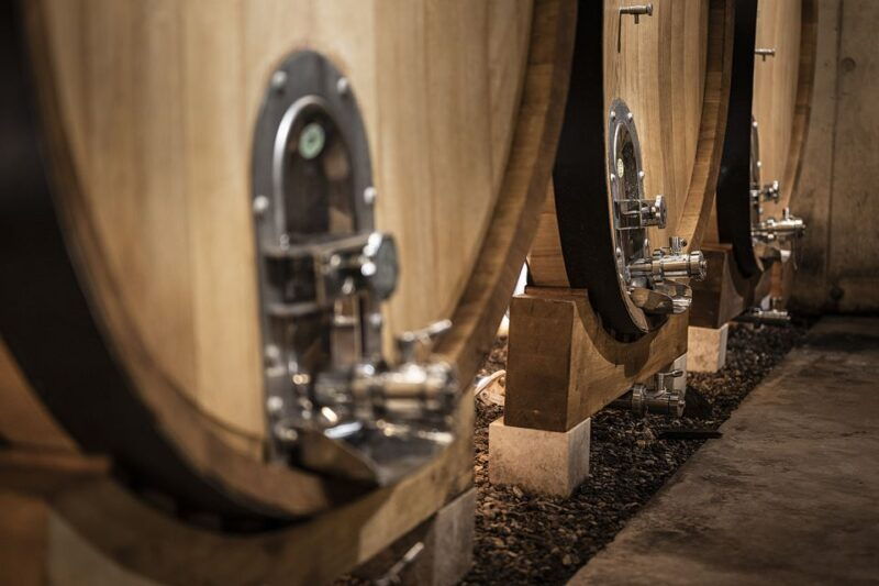 montpellier-wine-and-oyster-tour
