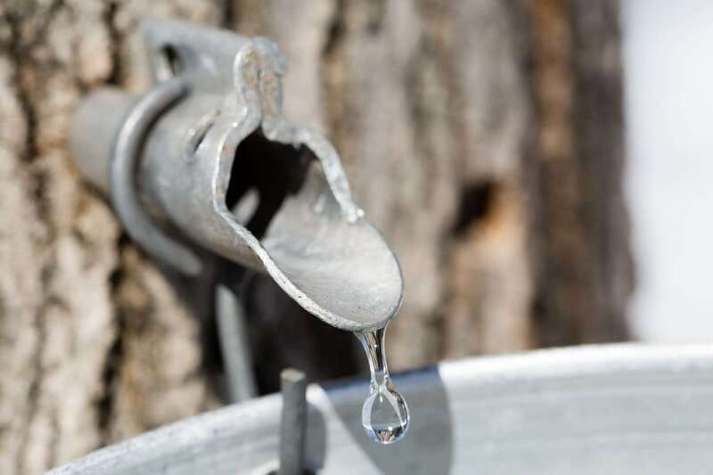 montreal-sugar-shack-maple-syrup-day-trip-with-lunch