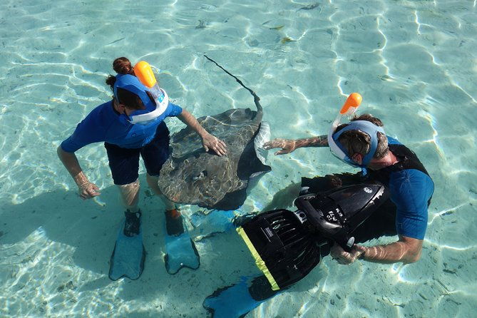 Moorea Private Boat Tour / Sea Scooter Snorkeling Tour - Practical Tips and Considerations