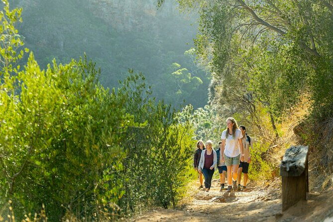 Morialta Wilderness and Wildlife Hike - Who Will Love This Tour?