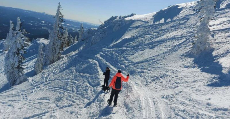 mount-arber-snowshoeing-in-the-bavarian-forest-guided-tour