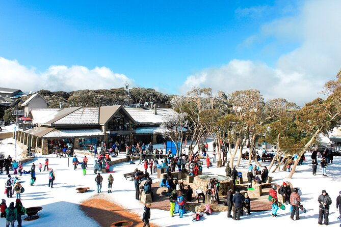 Mount Buller 1 Day Guided Tour - The Value of This Tour: Why It Works