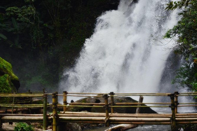 Mount Doi Inthanon Hiking & Bird Watching - FAQs