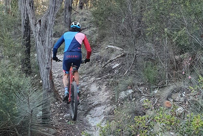 Mountain Bike Day Tour, 2 locations, 4 hrs riding, Holgate's Brewery lunch - In Summary