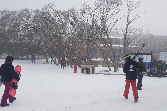 Mt Buller Day Trip from Melbourne - Who Should Consider This Tour?