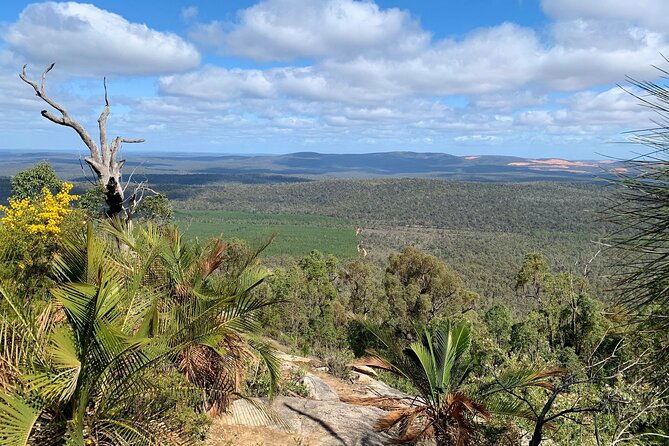 Mt. Cooke Half Day Hiking Experience - Detailed Breakdown of the Itinerary