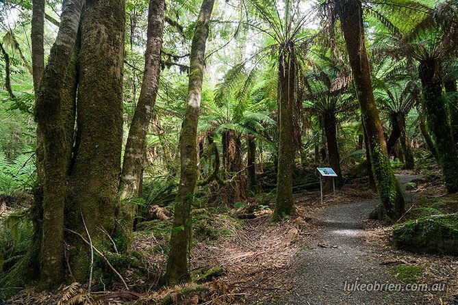 Mt Field and Styx Valley Photography Tour - Final Thoughts