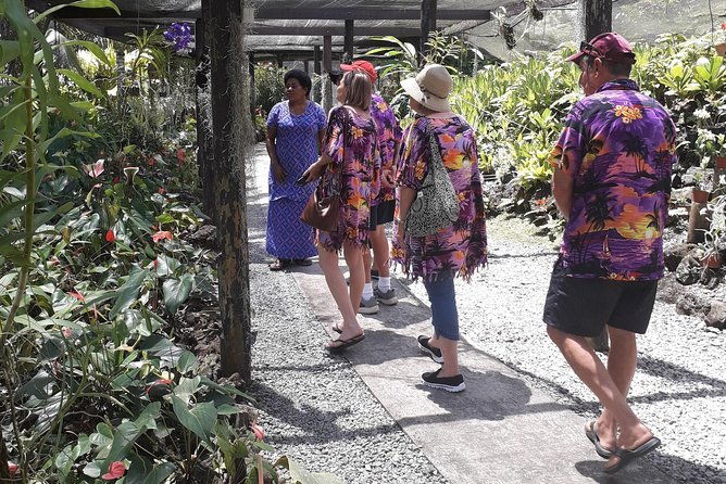 Nadi Sightseeing & Mud Pool Tour - Final Thoughts