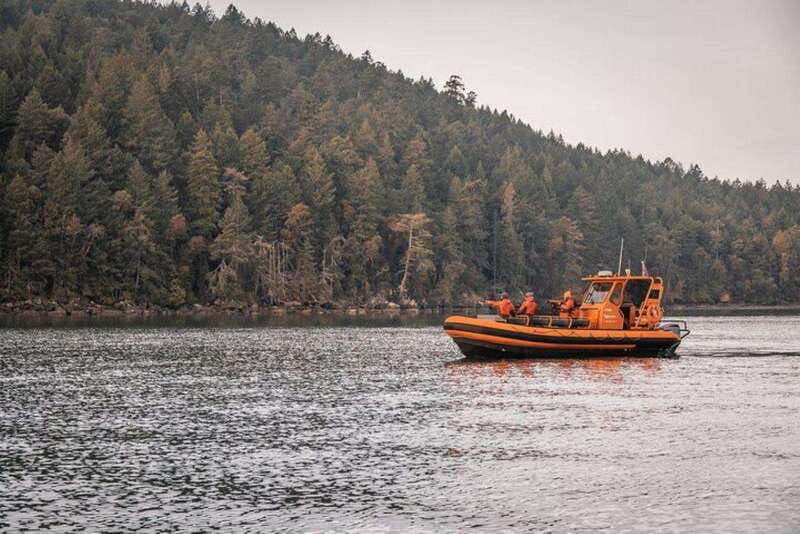 nanaimo-whale-watching-open-boat-tour