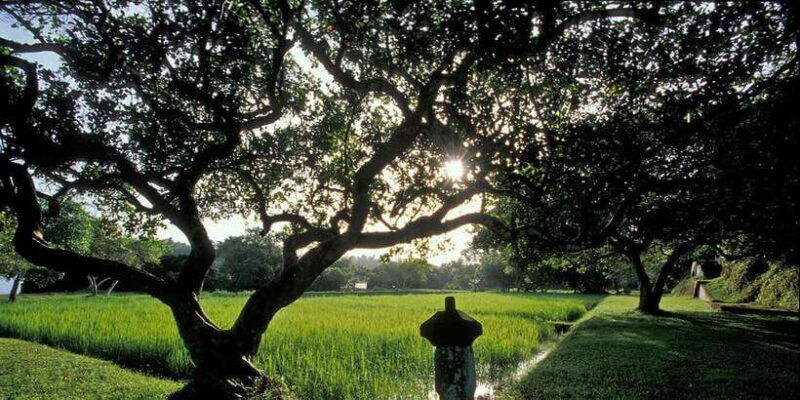 negombo-colombo-bawas-estate-brief-garden-private-tour