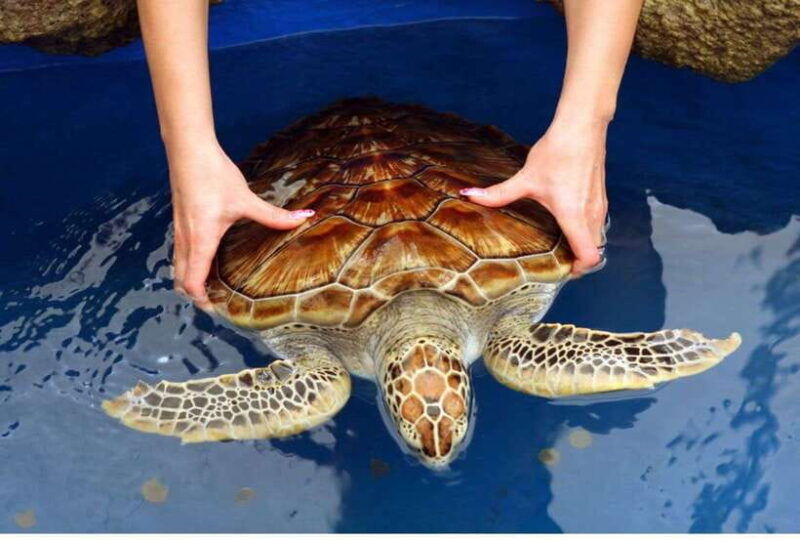 negombo-colomboprivate-galle-dutch-fort-madu-river-safari
