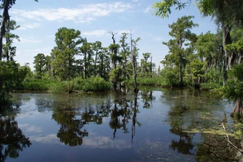 new-orleans-high-speed-16-passenger-airboat-ride