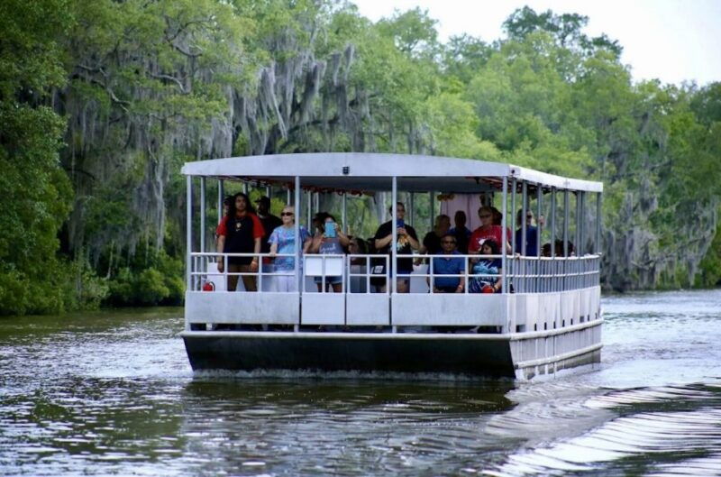 new-orleans-swamp-tour-on-covered-pontoon-boat